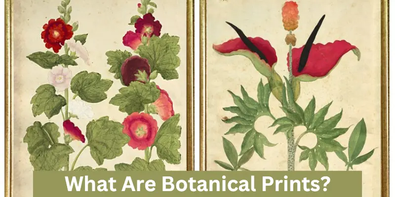 what are botanical prints